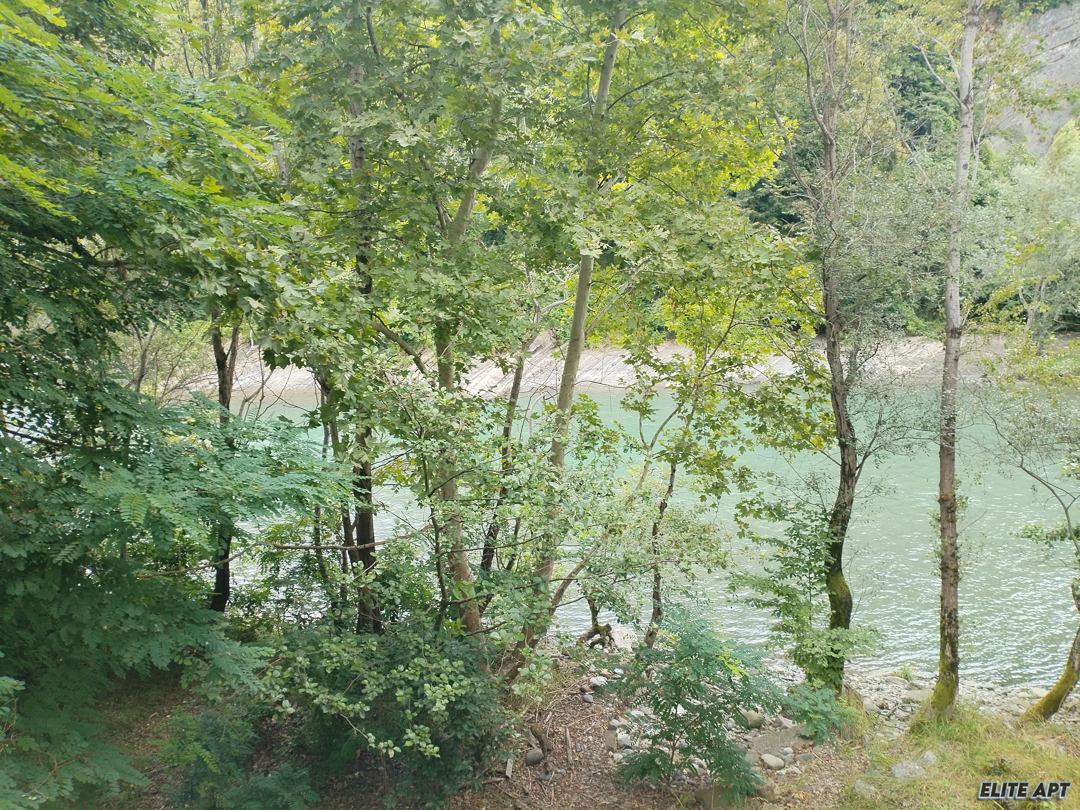ЖК СВЕТСКИЙ ЛЕС